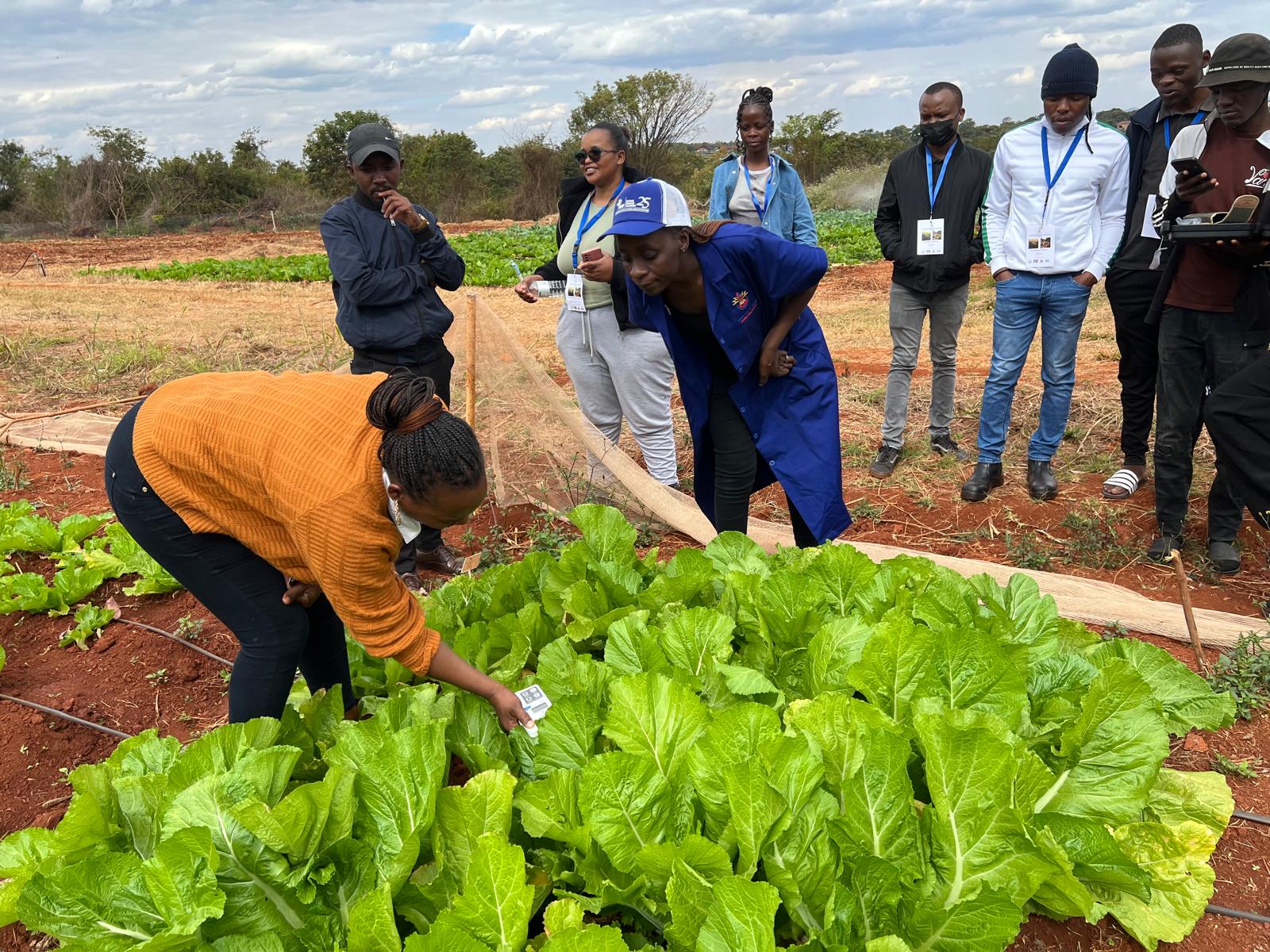 Students in a field in Venda, South Africa, testing soil in front of a bed of vegetables