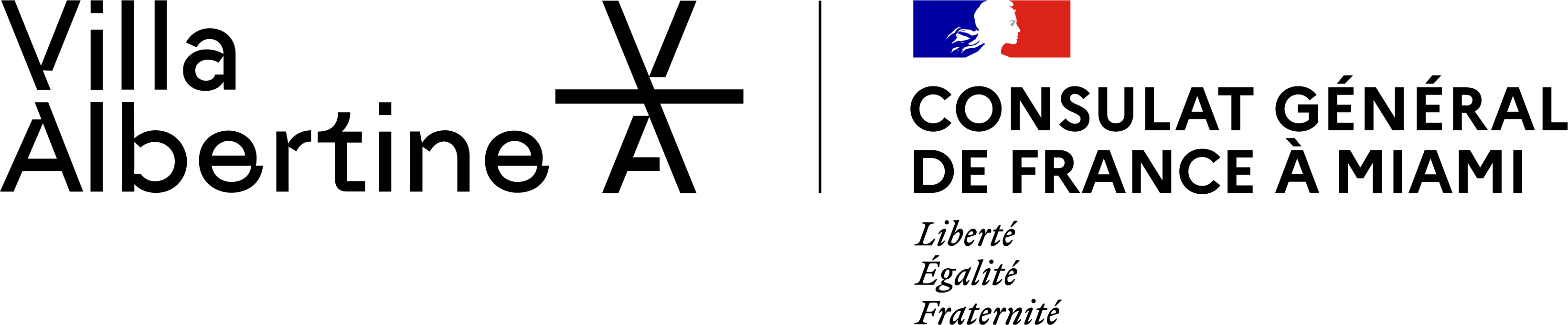 Logo of Villa Albertine