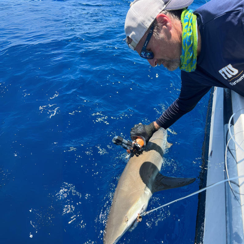 Vice Provost and Executive Dean Mike Heithaus and a shark